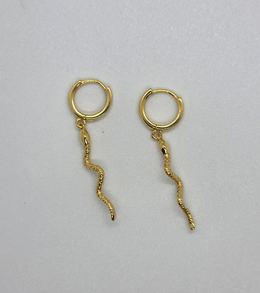 S. Steel earrings